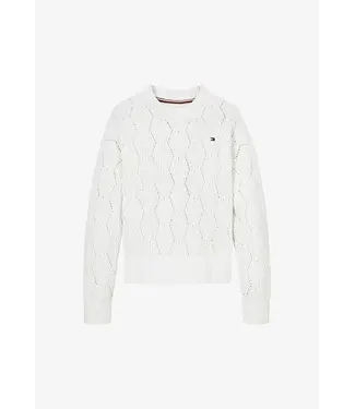 Tommy Hilfiger Chenille Sweater
