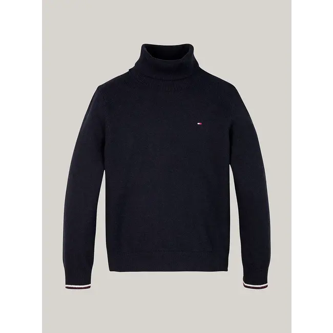 ESSENTIAL REG TURTLE, DW5Desert Sky Pullover Sweater