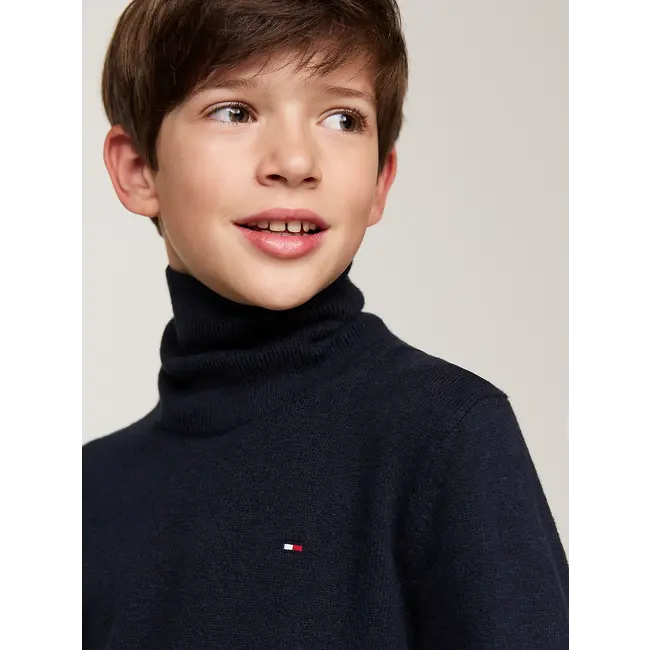 ESSENTIAL REG TURTLE, DW5Desert Sky Pullover Sweater