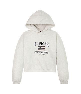 Tommy Hilfiger HILFIGER SEQUIN FLAG, PMT PMT Snow White Heather