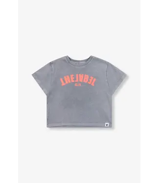 Alix the Label 62503843384 Knitted cropped T-Shirt Light Grey