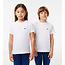 TJ1122-51 1ET1 Children tee-shirt 12 001