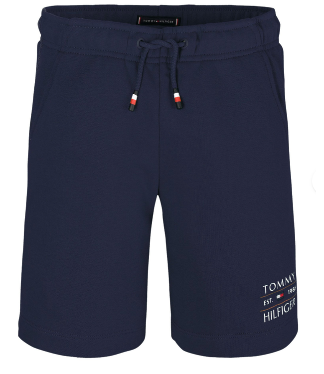 TOMMY FLAG HILFIGER, C1G C1G Dark Night Navy ***