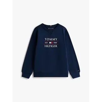 Tommy Hilfiger TOMMY FLAG HILFIGER, C1G C1G Dark Night Navy