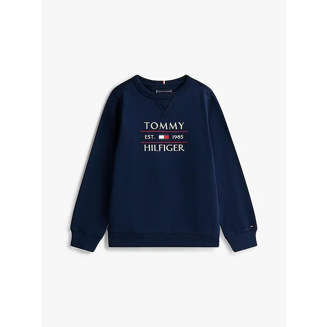 TOMMY FLAG HILFIGER, C1G C1G Dark Night Navy