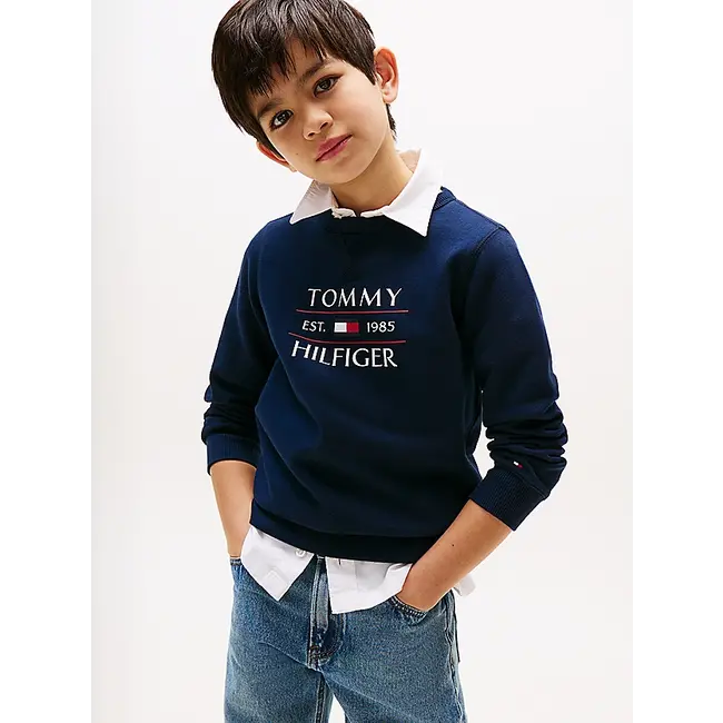 TOMMY FLAG HILFIGER, C1G C1G Dark Night Navy