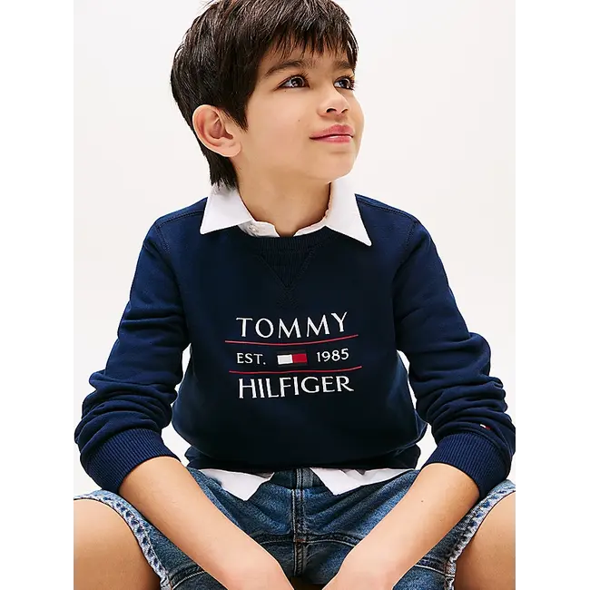 TOMMY FLAG HILFIGER, C1G C1G Dark Night Navy