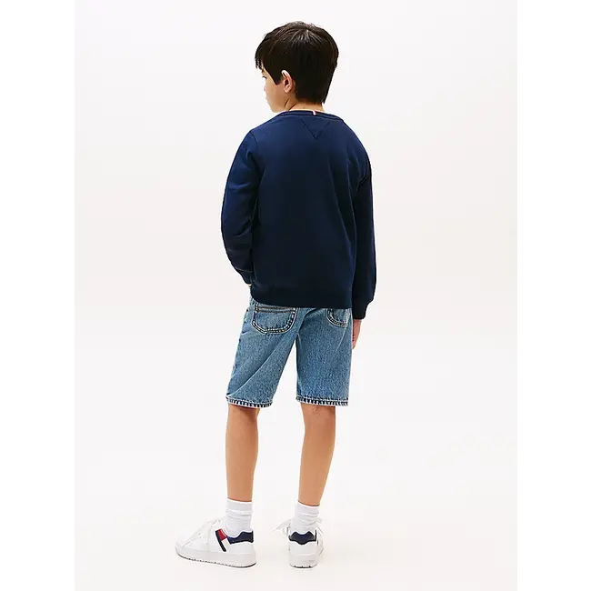 TOMMY FLAG HILFIGER, C1G C1G Dark Night Navy