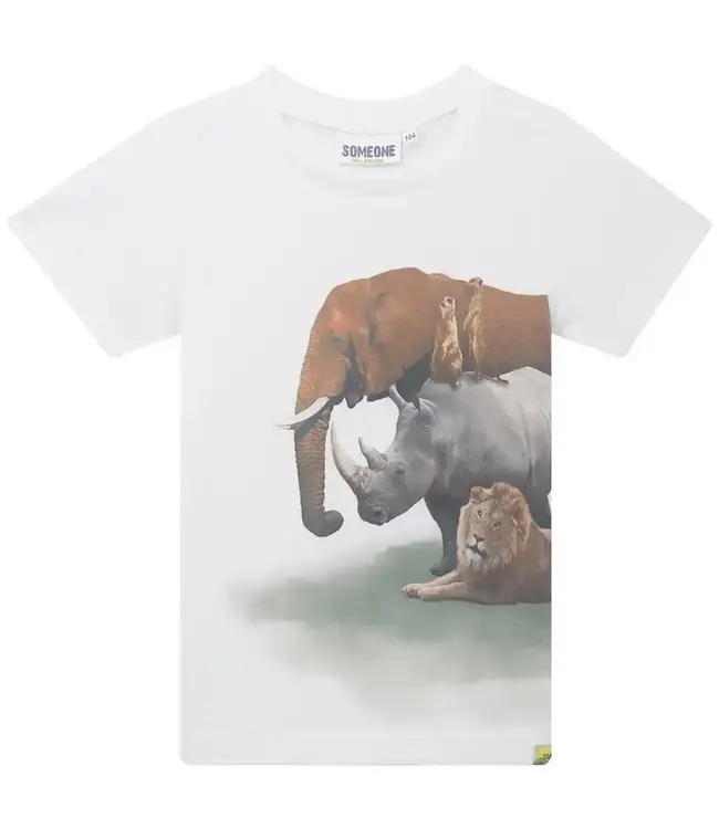 Dries-Sb-02-B T-shirt Ecru