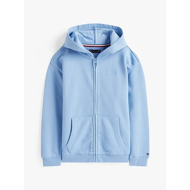 TONAL FLAG EMB  ZIP, C14 Cloudy Blue