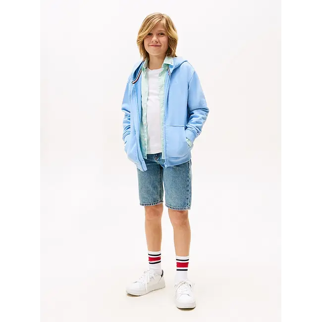 TONAL FLAG EMB  ZIP, C14 Cloudy Blue