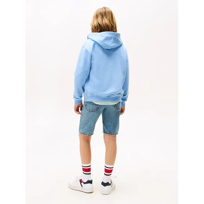 TONAL FLAG EMB  ZIP, C14 Cloudy Blue