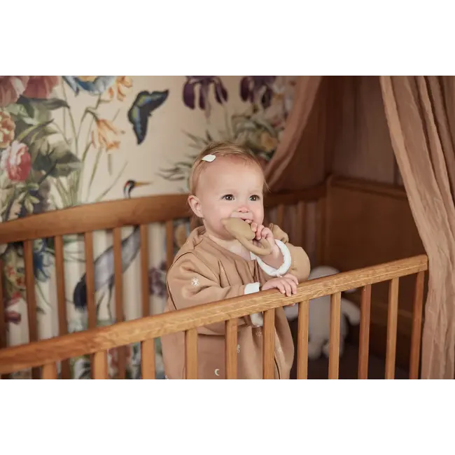 Teething Ring Rubber Teddy Bear Biscuit