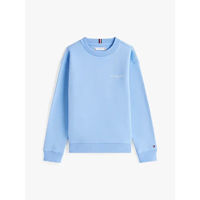 MINI CORP C-NECK SWE, C14 Cloudy Blue