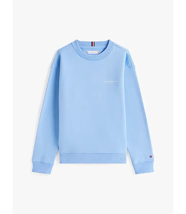 MINI CORP C-NECK SWE, C14 Cloudy Blue