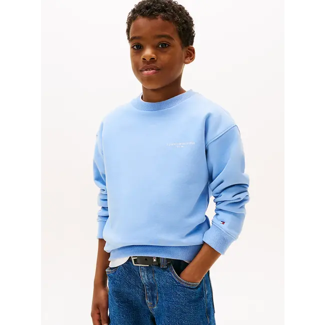 MINI CORP C-NECK SWE, C14 Cloudy Blue