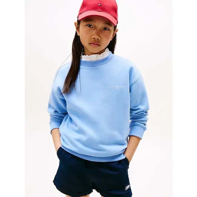 MINI CORP C-NECK SWE, C14 Cloudy Blue