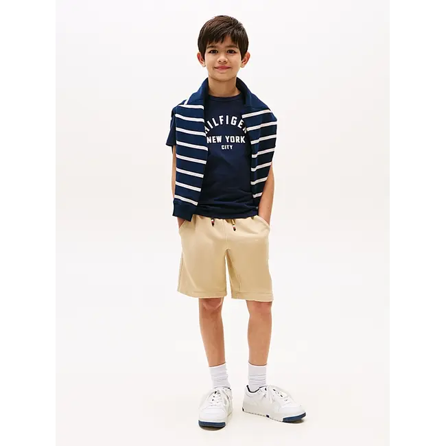 CURVED HILFIGER GRAP, C1G Dark Night Navy