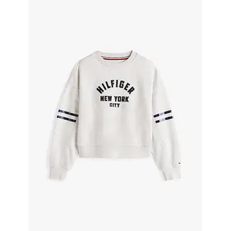 Tommy Hilfiger HILFIGER BATWING SWE, P09 Grey Heather