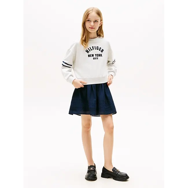 HILFIGER BATWING SWE, P09 Grey Heather