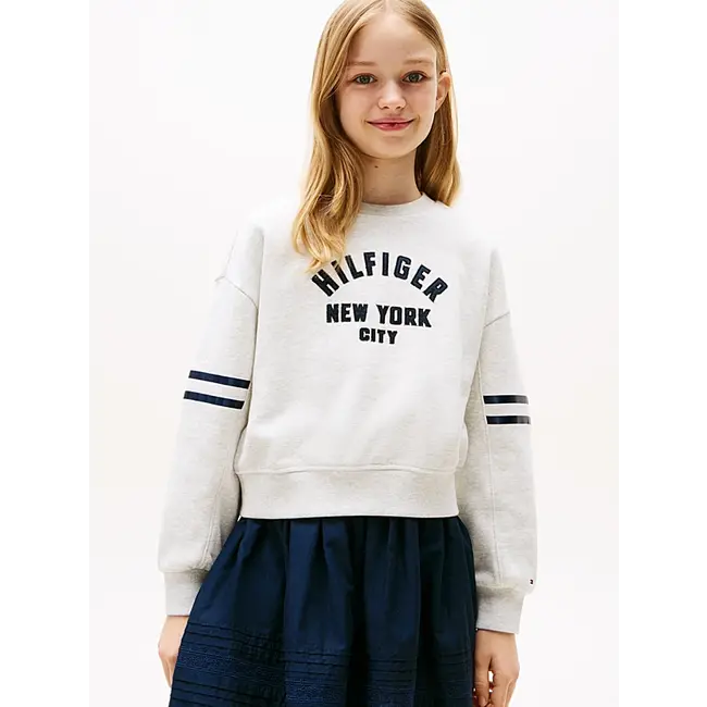 HILFIGER BATWING SWE, P09 Grey Heather