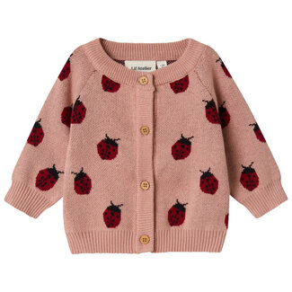Lil'Atelier NBMLulio Knit Card Lil/Misty Rose