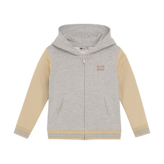 DAILY7 Hoodie Zipperjacket Grey 1220 Medium Grey Melange