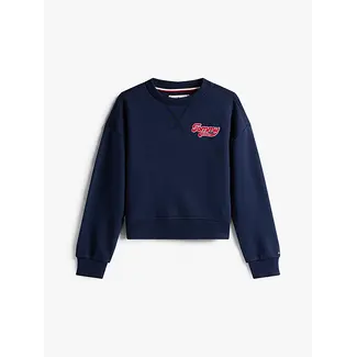 Tommy Hilfiger TOMMY FLOCK SWEATSHI, C1G Dark Night Navy