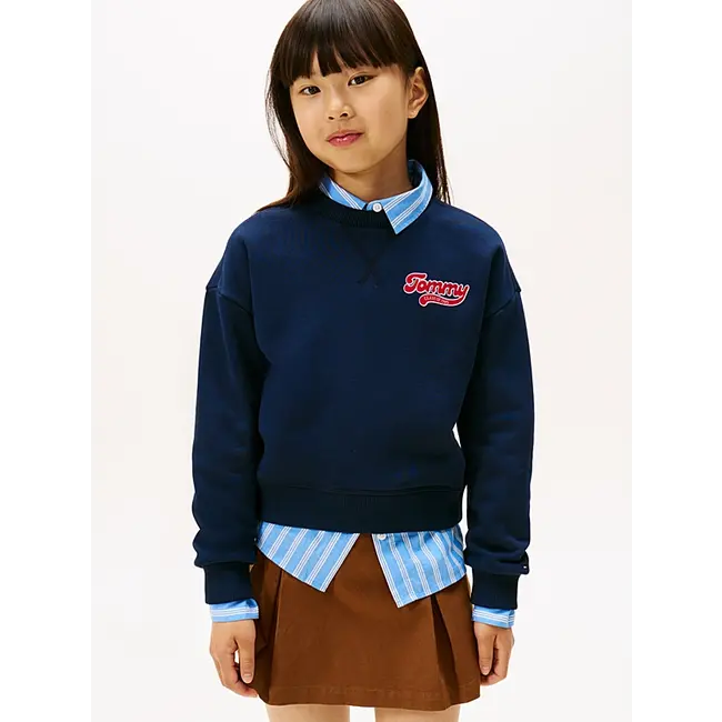TOMMY FLOCK SWEATSHI, C1G Dark Night Navy