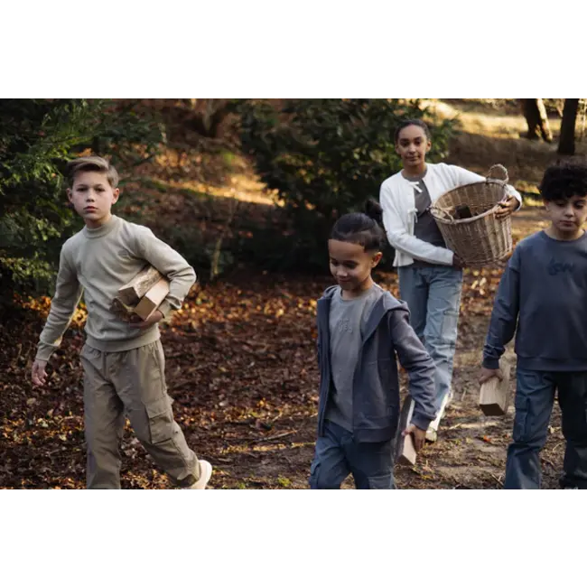 LW251Tony  Sweater 6018 Sage Green