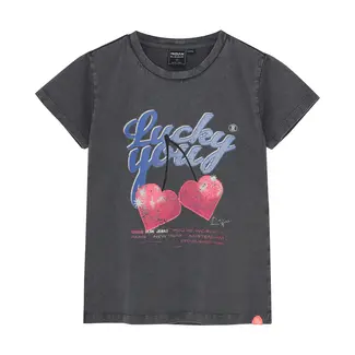 Indian Blue Jeans T-shirt Cherry  Grey 1919 Phantom