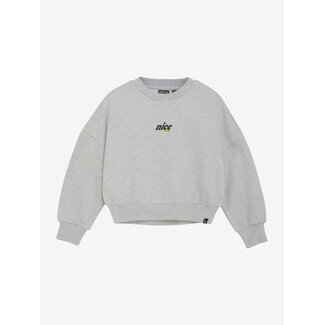 Indian Blue Jeans Sweater Glitterprint Grey 1017 Dove