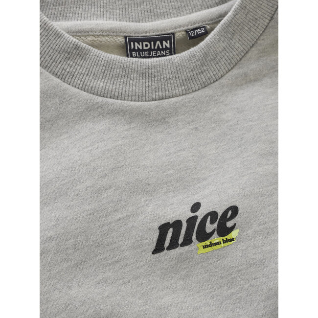 Sweater Glitterprint Grey 1017 Dove