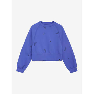 Indian Blue Jeans Sweater Raglan  Blue 7945 Amparo Blue