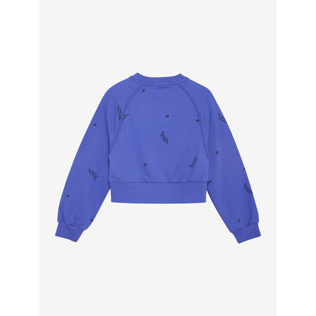 Sweater Raglan  Blue 7945 Amparo Blue