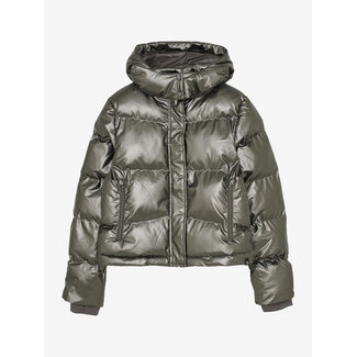 Indian Blue Jeans Metallic Jacket  Brown 2210 Pale Gold