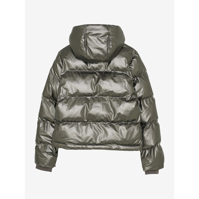 Metallic Jacket  Brown 2210 Pale Gold