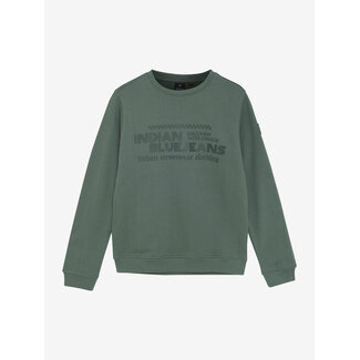 Indian Blue Jeans Sweater Chest Print Green 9651 Dark Forest