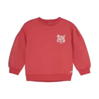 DAILY7 Sweater Brushed Print Red 4430 Baked Apple