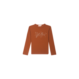 Someone T-shirt long sleeves WILLA-SG-03-H C COGNAC