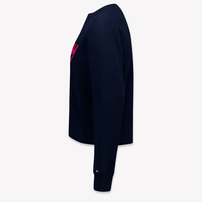 TOMMY LOGO SWEATER, C1G Dark Night Navy