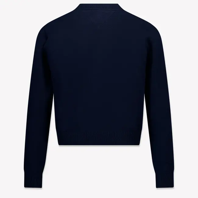 TOMMY LOGO SWEATER, C1G Dark Night Navy
