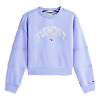 Tommy Hilfiger TOMMY VARSITY SWEATS, C5Z Vintage Iris