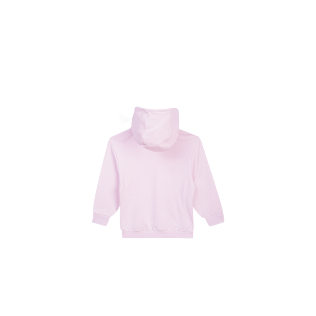 Sweater long sleeves FAUVE-SG-16-D SP SOFT PINK