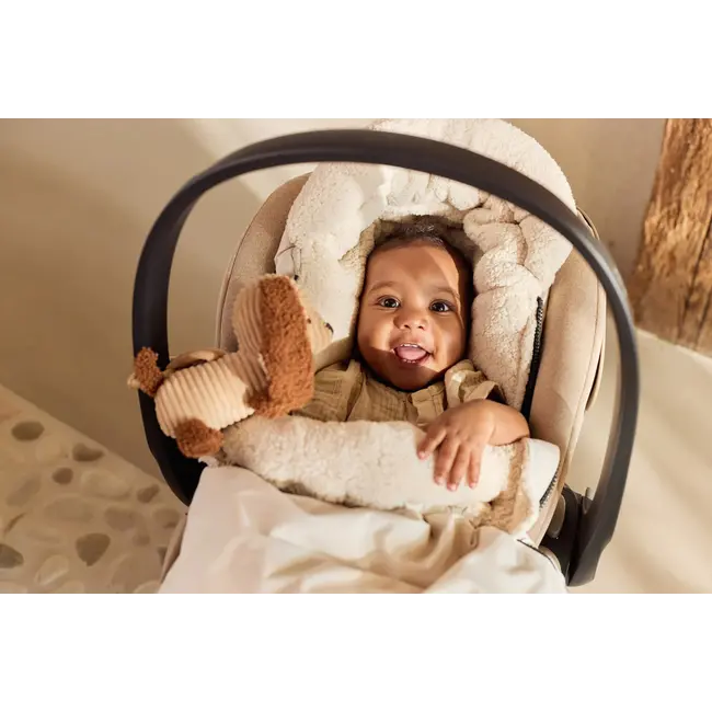 Wagenhanger Diego Dog