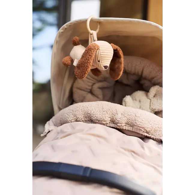 Wagenhanger Diego Dog