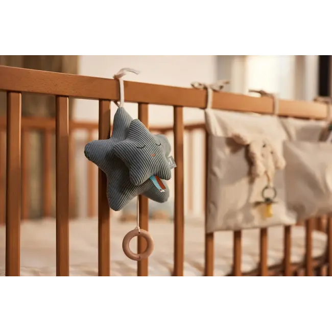 Muziekhanger  Ster  Sea Green