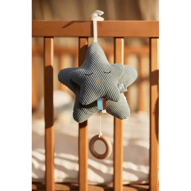 Muziekhanger  Ster  Sea Green