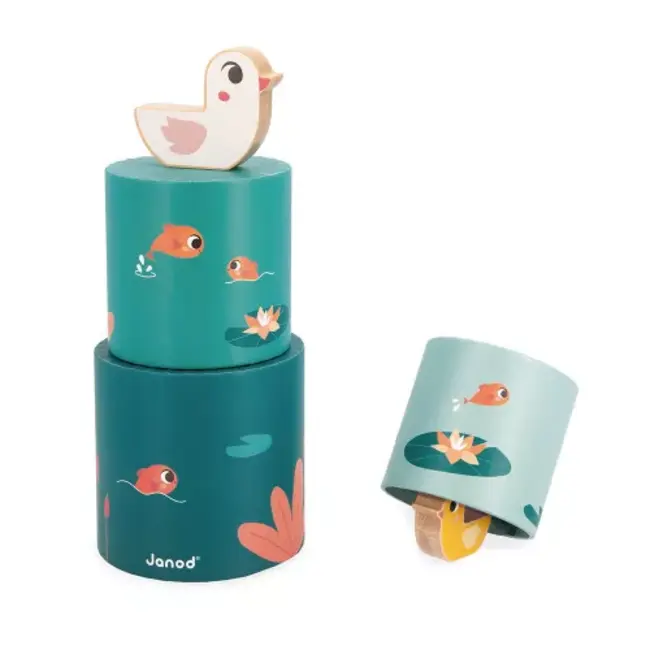 Janod Box zintuigelijke Waarneming 12+