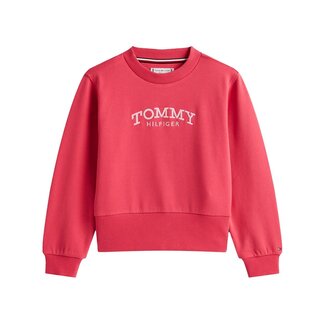 Tommy Hilfiger HIGH RIB HEM CREW NE, XI5 Vintage Cerise